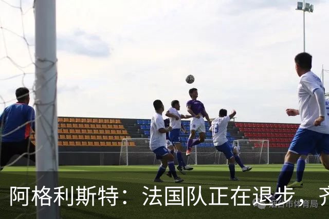 阿格利斯特：法国队正在退步，齐达内要珍惜明星球员的巅峰期
